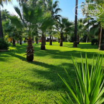 фото из отзыва ID 2741602