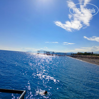 фото из отзыва ID 2741606