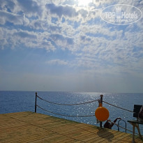 фото из отзыва ID 2741606