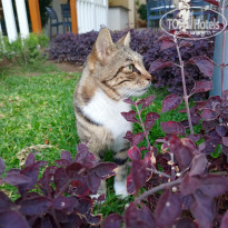 фото из отзыва ID 2741606