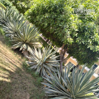 фото из отзыва ID 2741611