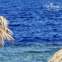 фото из отзыва ID 2741612