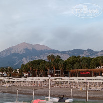 фото из отзыва ID 2741618