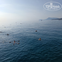 фото из отзыва ID 2741618