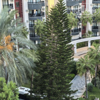 фото из отзыва ID 2741635