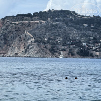 фото из отзыва ID 2741635