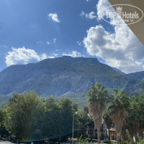 фото из отзыва ID 2741690