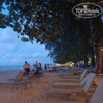 фото из отзыва ID 2741701