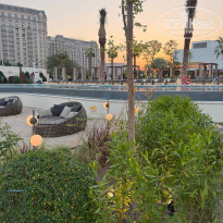 фото из отзыва ID 2741709