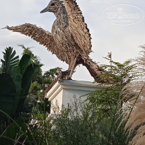 фото из отзыва ID 2741702