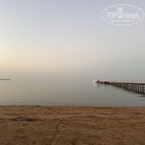 фото из отзыва ID 2741729