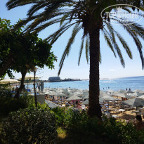 фото из отзыва ID 2741720