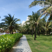 фото из отзыва ID 2741742