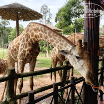 фото из отзыва ID 2741742