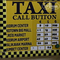 фото из отзыва ID 2741759