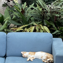 фото из отзыва ID 2741759