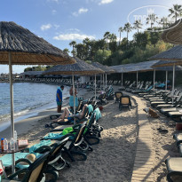 фото из отзыва ID 2741759