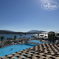 фото из отзыва ID 2741759