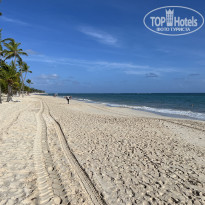 фото из отзыва ID 2741774