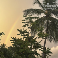 фото из отзыва ID 2741797