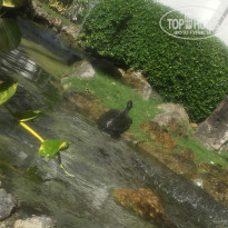 фото из отзыва ID 2741798