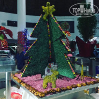 фото из отзыва ID 2741798