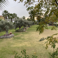 фото из отзыва ID 2741800