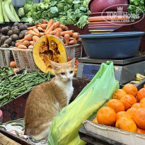 фото из отзыва ID 2741802