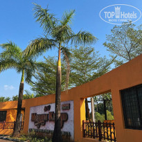 фото из отзыва ID 2741802