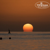 фото из отзыва ID 2741809