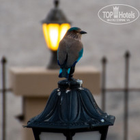 фото из отзыва ID 2741809