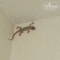 фото из отзыва ID 2741809