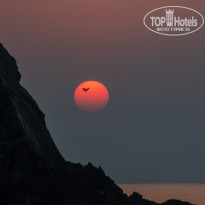 фото из отзыва ID 2741809