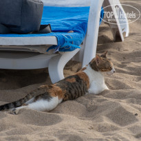 фото из отзыва ID 2741809