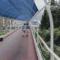 фото из отзыва ID 2741814