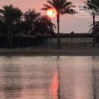 фото из отзыва ID 2741812