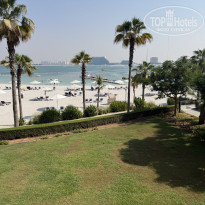 фото из отзыва ID 2741820