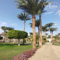 фото из отзыва ID 2741824