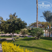 фото из отзыва ID 2741824