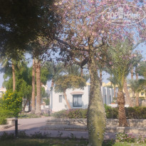 фото из отзыва ID 2741824