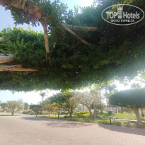 фото из отзыва ID 2741824