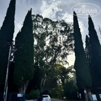 фото из отзыва ID 2741830