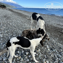 фото из отзыва ID 2741830