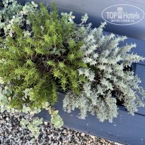 фото из отзыва ID 2741830