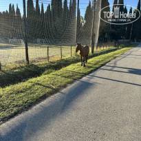 фото из отзыва ID 2741830