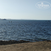 фото из отзыва ID 2741633