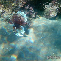 фото из отзыва ID 2741806