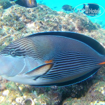 фото из отзыва ID 2741806