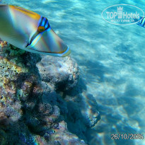 фото из отзыва ID 2741806