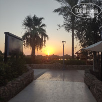 фото из отзыва ID 2741806